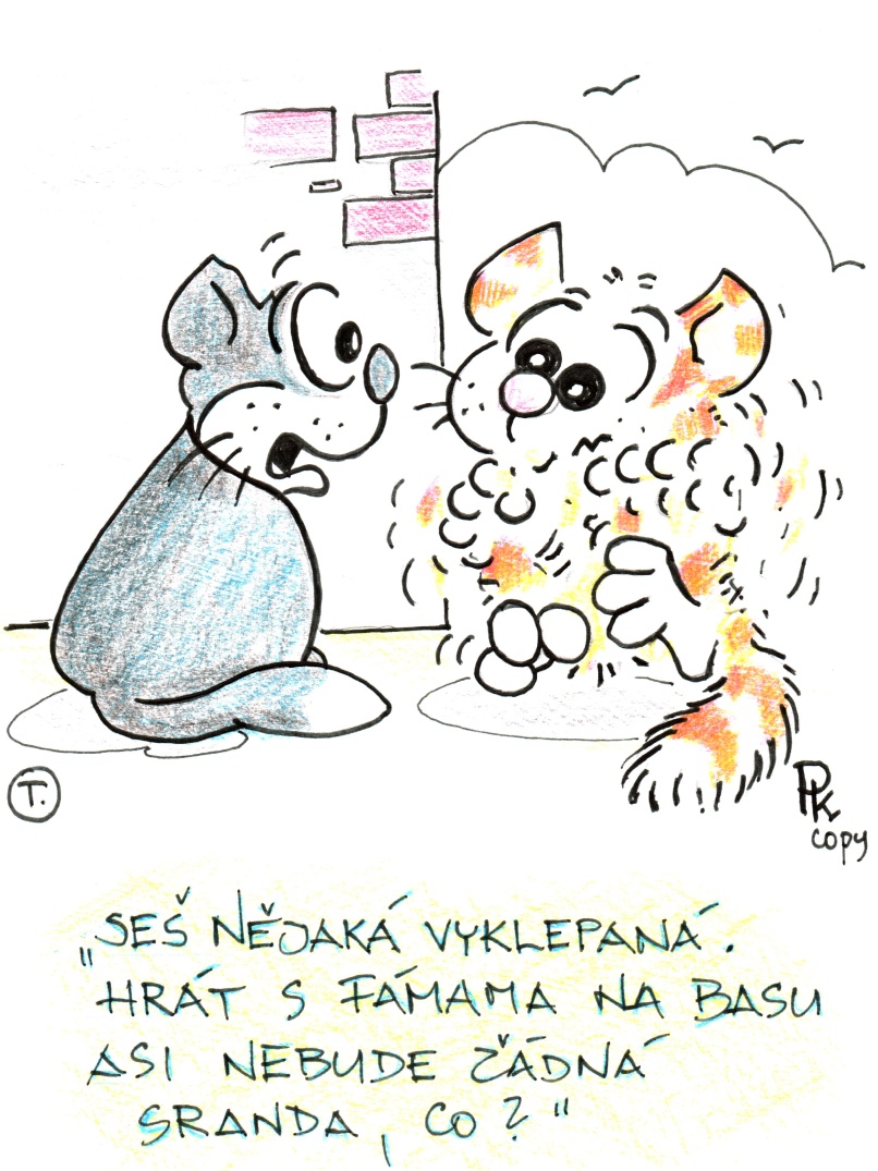 obrazek od Tima.jpg
